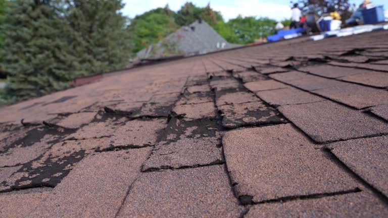 Best Storm Damage Roof Repair  in Beaver, OK