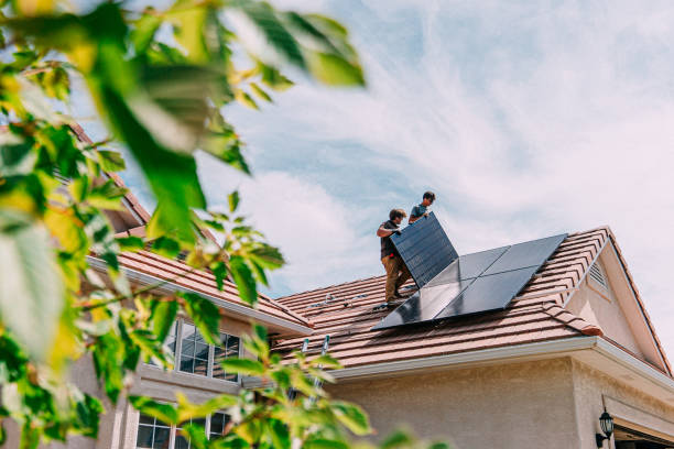 Best Roof Moss and Algae Removal  in Beaver, OK