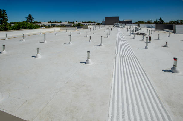 Best Roof Maintenance and Cleaning  in Beaver, OK